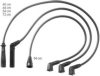 BERU ZEF950 Ignition Cable Kit